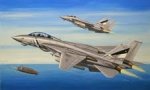 1:72 F-14D Super Tomcat