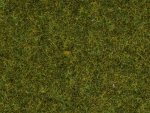 Wild Grass “Meadow" - 9 mm, 50 g