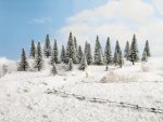 Gran m. snö/Snowy Fir Trees - 10 pieces, 5 - 14 cm high